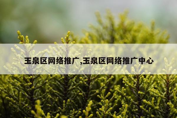 玉泉区网络推广,玉泉区网络推广中心