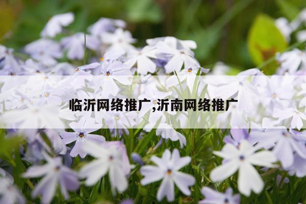 临沂网络推广,沂南网络推广