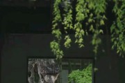 观后感 生命重于泰山 电影 (生命重于观后感)