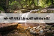 腌制梅菜煲汤怎么做的,梅菜的腌制方法图片