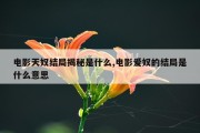 电影天奴结局揭秘是什么,电影爱奴的结局是什么意思