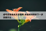 成功求婚通关方法视频,求婚成功后的下一步该做什么