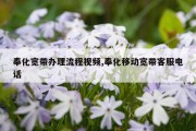 奉化宽带办理流程视频,奉化移动宽带客服电话