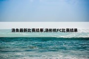 洛鱼最新比赛结果,洛彬机FC比赛结果