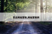 灵丘网站营销,网站营销网