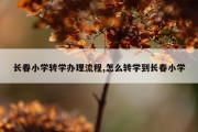 长春小学转学办理流程,怎么转学到长春小学