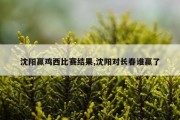 沈阳赢鸡西比赛结果,沈阳对长春谁赢了