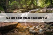 埃及居留卡办理流程,埃及长期居留签证