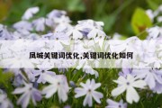 凤城关键词优化,关键词优化如何