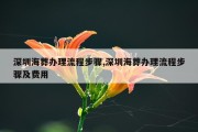 深圳海葬办理流程步骤,深圳海葬办理流程步骤及费用