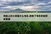 地板上的小洞是什么电影,地板下电影的秘密完整版