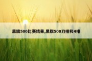 黑旗500比赛结果,黑旗500刀排和4排