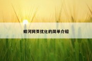 蛟河网页优化的简单介绍