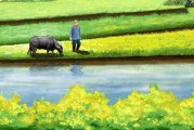 观后感 冷山 (电影《冷山》观后感)
