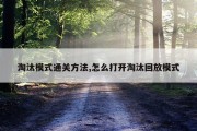 淘汰模式通关方法,怎么打开淘汰回放模式