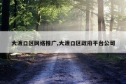 大渡口区网络推广,大渡口区政府平台公司