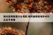 梅川抓毒贩是什么电影,梅川被绑架电影叫什么名字来着