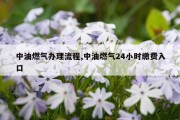 中油燃气办理流程,中油燃气24小时缴费入口