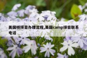 美国桥项目办理流程,美国camp项目联系电话