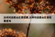 沧州对战唐山比赛结果,沧州对战唐山比赛结果查询