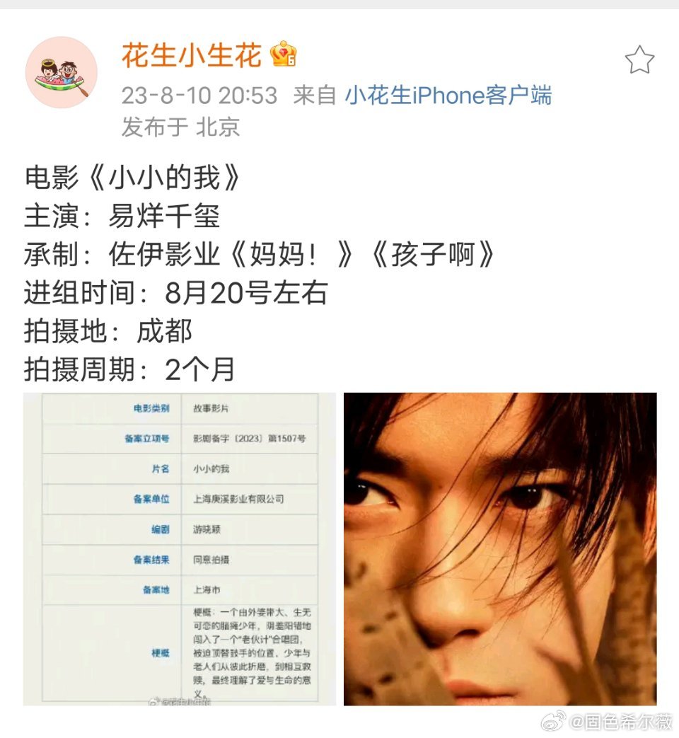 观后感