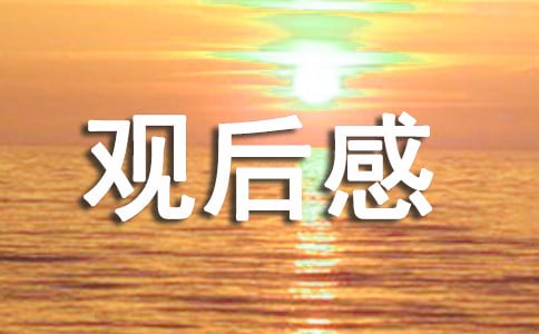 观后感影片