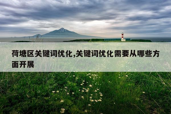 荷塘区关键词优化,关键词优化需要从哪些方面开展