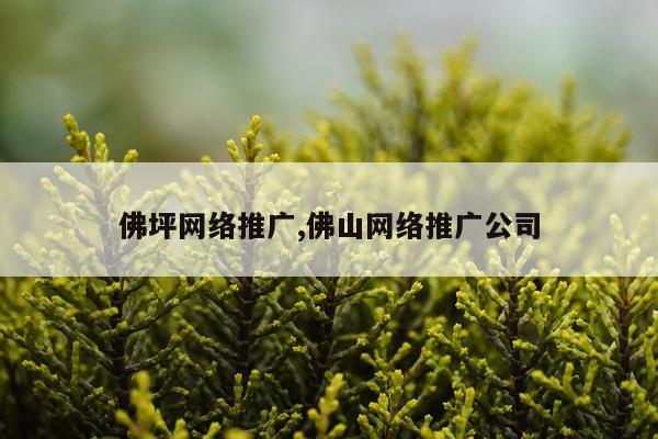 佛坪网络推广,佛山网络推广公司