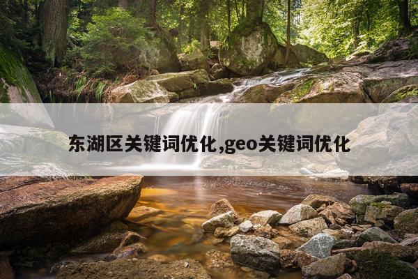东湖区关键词优化,geo关键词优化