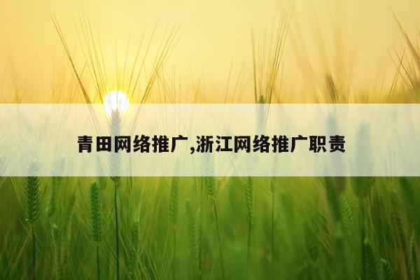 青田网络推广,浙江网络推广职责