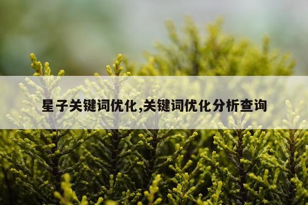 星子关键词优化,关键词优化分析查询