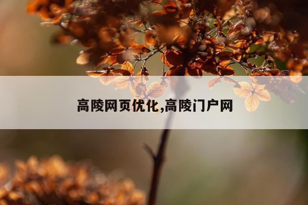 高陵网页优化,高陵门户网