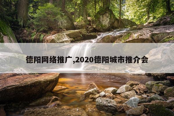 德阳网络推广,2020德阳城市推介会