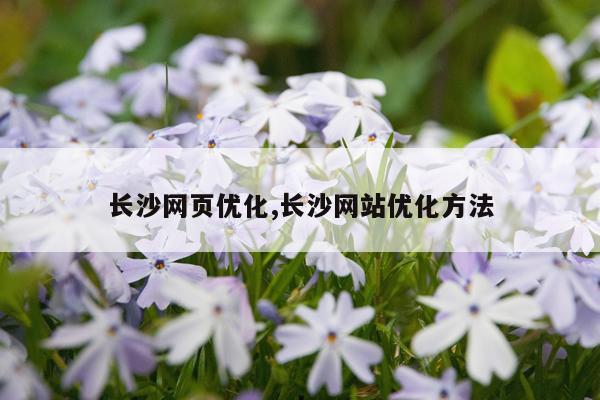 长沙网页优化,长沙网站优化方法