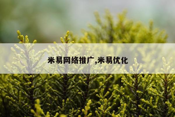 米易网络推广,米易优化