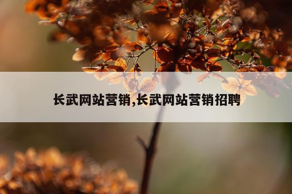 长武网站营销,长武网站营销招聘
