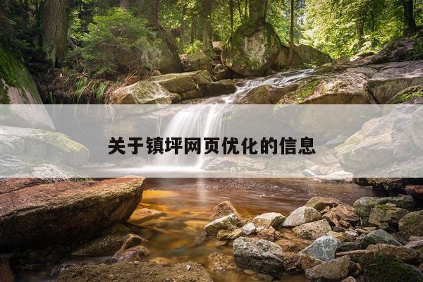 关于镇坪网页优化的信息