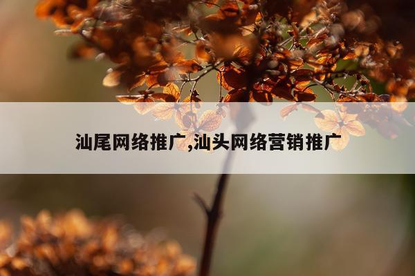 汕尾网络推广,汕头网络营销推广