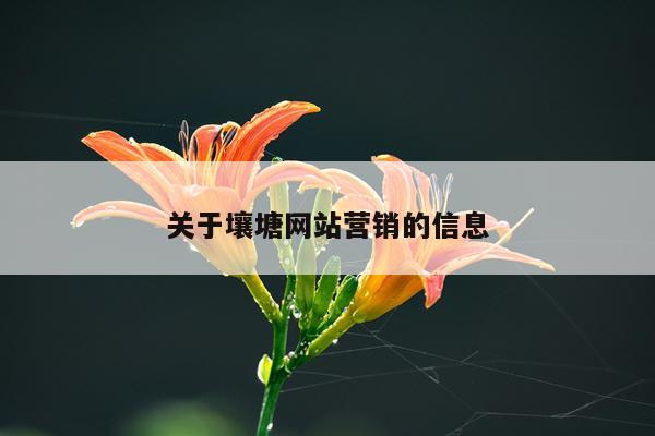 关于壤塘网站营销的信息