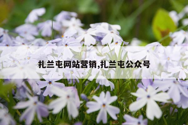 扎兰屯网站营销,扎兰屯公众号