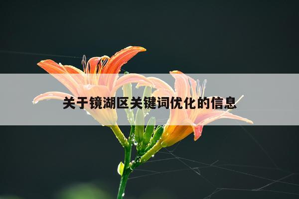 关于镜湖区关键词优化的信息