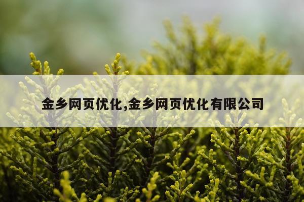 金乡网页优化,金乡网页优化有限公司