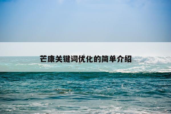 芒康关键词优化的简单介绍