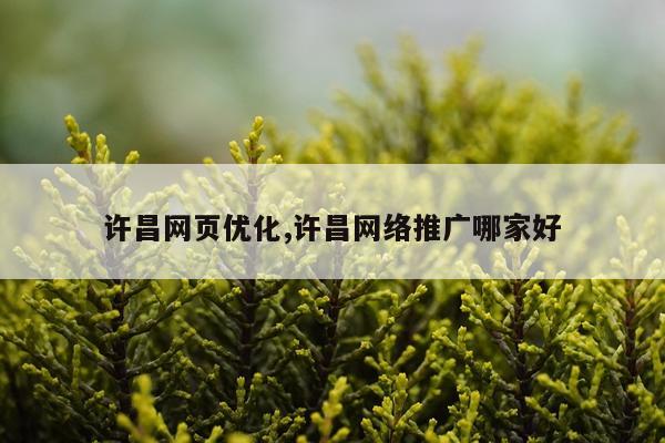 许昌网页优化,许昌网络推广哪家好