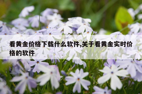 看黄金价格下载什么软件,关于看黄金实时价格的软件