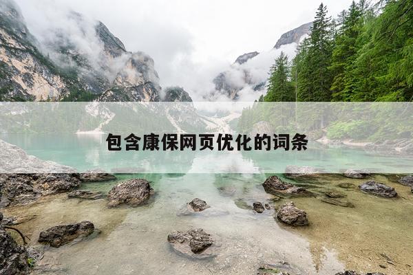 包含康保网页优化的词条