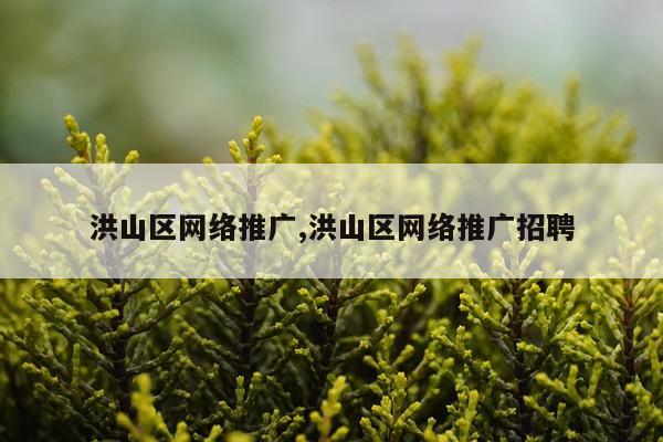 洪山区网络推广,洪山区网络推广招聘