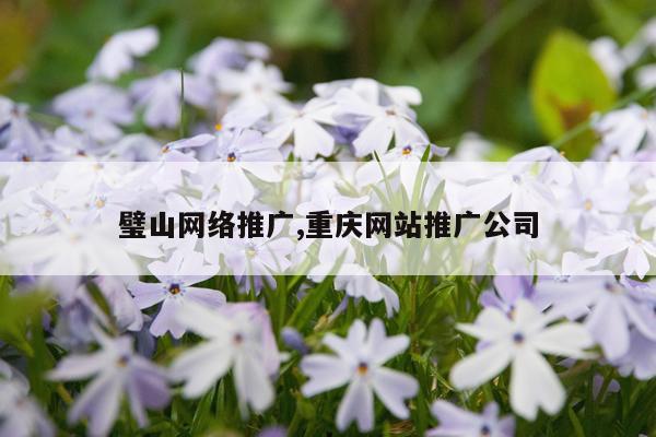璧山网络推广,重庆网站推广公司
