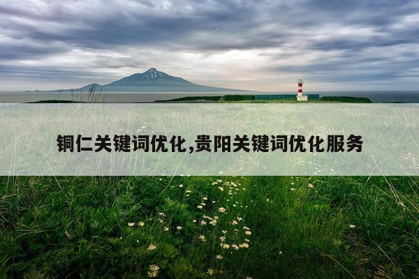铜仁关键词优化,贵阳关键词优化服务
