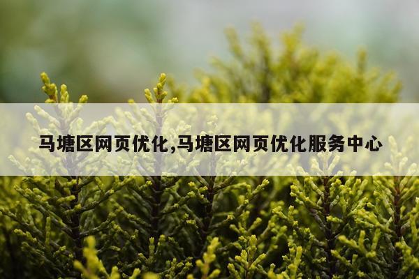 马塘区网页优化,马塘区网页优化服务中心